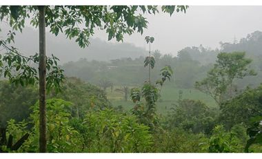 Se Vende 357 Has De Hacienda Productiva Quinindé