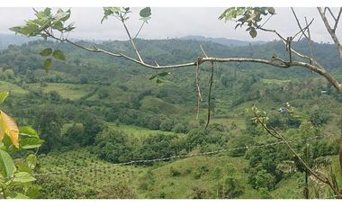 Se Vende 357 Has De Hacienda Productiva Quinindé