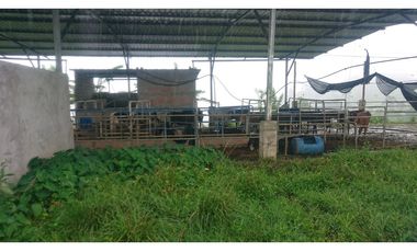 Se Vende 357 Has De Hacienda Productiva Quinindé