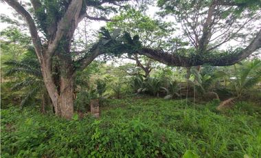 En venta Hosteria en Pedernales