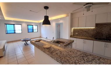 Apartamento en Parque Lefevre Ph Saramel # 1968 avd