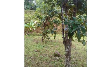 VENDO CASA DE CAMPO Y 900M2 EN EL NANCITO