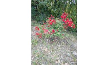 VENDO CASA DE CAMPO Y 900M2 EN EL NANCITO