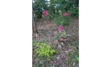 VENDO CASA DE CAMPO Y 900M2 EN EL NANCITO