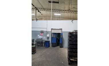 JUAN DIAZ / NEGOCIABLE / GALERA EN URB INDUSTRIAL / 4400 M2