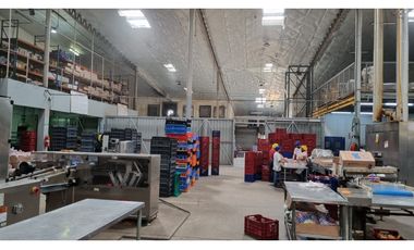 JUAN DIAZ / NEGOCIABLE / GALERA EN URB INDUSTRIAL / 4400 M2
