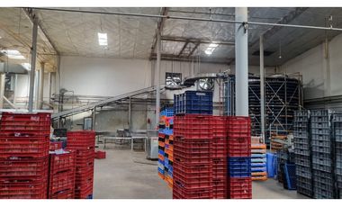 JUAN DIAZ / NEGOCIABLE / GALERA EN URB INDUSTRIAL / 4400 M2