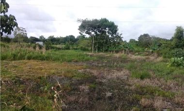 SE VENDE  FINCA PLANA CON CASA y CON GALERA PARA 2500 AVES 2 HECTREAS