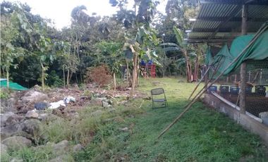 SE VENDE  FINCA PLANA CON CASA y CON GALERA PARA 2500 AVES 2 HECTREAS