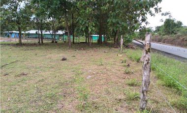 SE VENDE  FINCA PLANA CON CASA y CON GALERA PARA 2500 AVES 2 HECTREAS