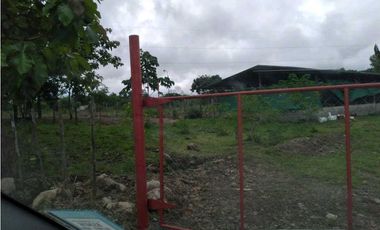 SE VENDE  FINCA PLANA CON CASA y CON GALERA PARA 2500 AVES 2 HECTREAS