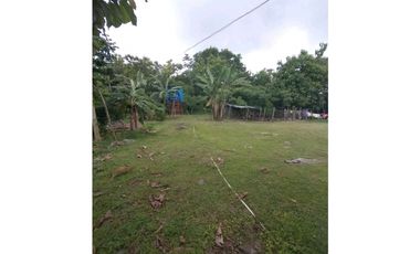 SE VENDE  FINCA PLANA CON CASA y CON GALERA PARA 2500 AVES 2 HECTREAS