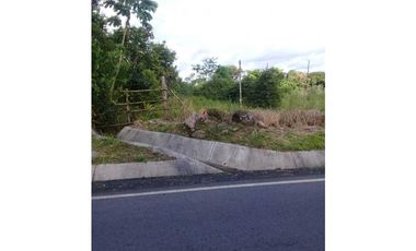 SE VENDE  FINCA PLANA CON CASA y CON GALERA PARA 2500 AVES 2 HECTREAS