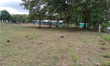 SE VENDE  FINCA PLANA CON CASA y CON GALERA PARA 2500 AVES 2 HECTREAS
