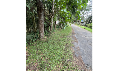 TERRENO EN CERRO AZUL CON CLIMA FRIO Y GARITA / FORTIN / 1500