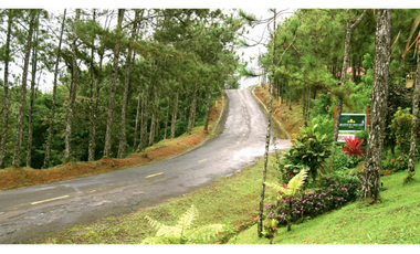 TERRENO EN CERRO AZUL CON CLIMA FRIO Y GARITA / FORTIN / 1500