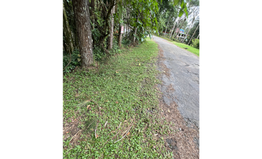 TERRENO EN CERRO AZUL CON CLIMA FRIO Y GARITA / FORTIN / 1500