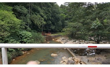 CERRO AZUL / FINCA CON 2 CABAÑAS TURISTICAS /  1,172 M2