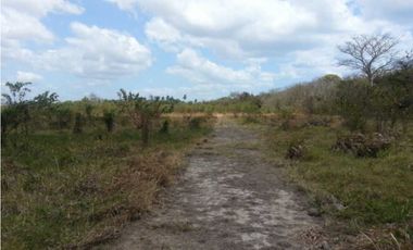 FINCA  CON QUEBRADA / CERCA DEL MAR / JUAN HOMBRON / 6.5 HECTREAS