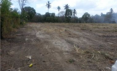 FINCA  CON QUEBRADA / CERCA DEL MAR / JUAN HOMBRON / 6.5 HECTREAS