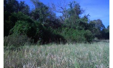 FINCA  CON QUEBRADA / CERCA DEL MAR / JUAN HOMBRON / 6.5 HECTREAS