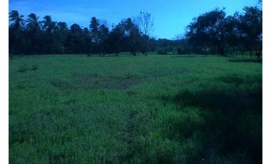 FINCA  CON QUEBRADA / CERCA DEL MAR / JUAN HOMBRON / 6.5 HECTREAS