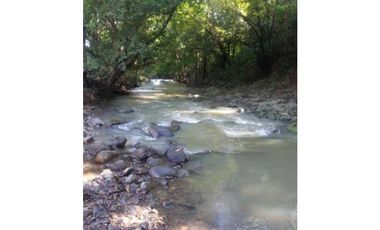 FINCA  CON  3 CASAS / A LA ORILLA DEL RIO / CHAME  / 5 HECTREAS