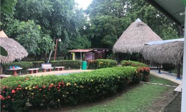 FINCA  CON  3 CASAS / A LA ORILLA DEL RIO / CHAME  / 5 HECTREAS