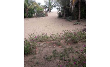 LAS TABLAS / A LA ORILLA DE LA PLAYA POCRI / 2.5 HECTREAS