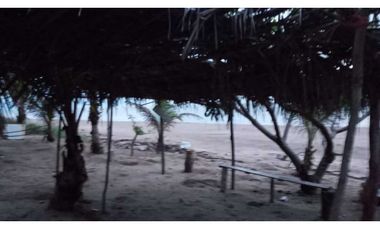 LAS TABLAS / A LA ORILLA DE LA PLAYA POCRI / 2.5 HECTREAS