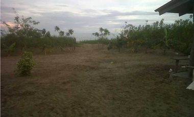 LAS TABLAS / A LA ORILLA DE LA PLAYA POCRI / 2.5 HECTREAS