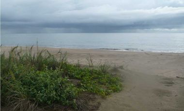 LAS TABLAS / A LA ORILLA DE LA PLAYA POCRI / 2.5 HECTREAS