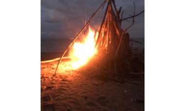 LAS TABLAS / A LA ORILLA DE LA PLAYA POCRI / 2.5 HECTREAS