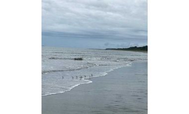 LAS TABLAS / A LA ORILLA DE LA PLAYA POCRI / 2.5 HECTREAS