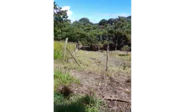 SAN CARLOS / PLAYA CORONA / 3755M2 / CALLE ASFALTADA