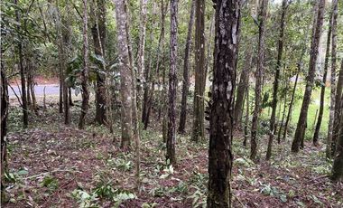 CERRO AZUL / FINCA ALTOS DEL GUARDIAN / 1844 M2