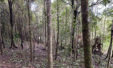 CERRO AZUL / FINCA ALTOS DEL GUARDIAN / 1844 M2