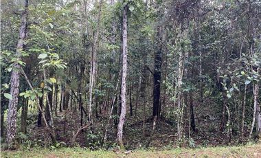 CERRO AZUL / FINCA ALTOS DEL GUARDIAN / 1844 M2