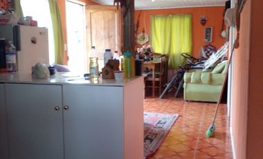 PARCELA NAVIDAD