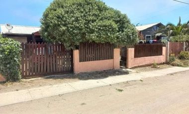 DOS CASAS PUPUYA NAVIDAD