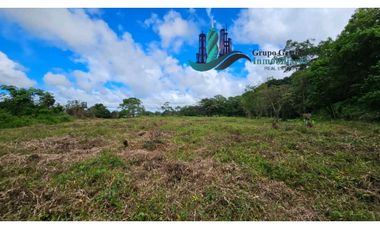 VENTA DE FINCA 4 HECTREAS MESETA BOQUERÓN