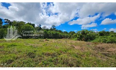 VENTA DE FINCA 4 HECTREAS MESETA BOQUERÓN