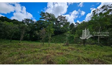 VENTA DE FINCA 4 HECTREAS MESETA BOQUERÓN