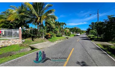 VENTA DE FINCA 4 HECTREAS MESETA BOQUERÓN