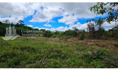 VENTA DE FINCA 4 HECTREAS MESETA BOQUERÓN