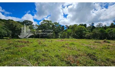 VENTA DE FINCA 4 HECTREAS MESETA BOQUERÓN