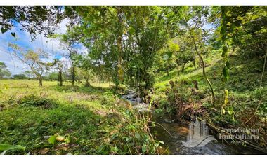 VENTA DE FINCA 4 HECTREAS MESETA BOQUERÓN