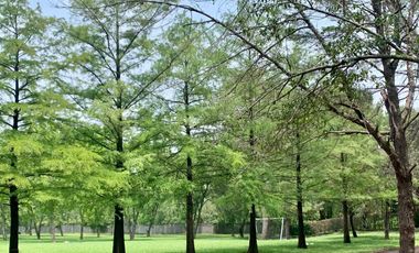 QUINTA VENTA EL BARRIAL SANTIAGO