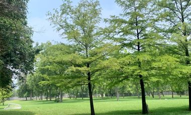 QUINTA VENTA EL BARRIAL SANTIAGO