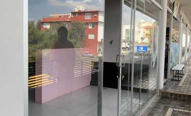 Local - Fraccionamiento Residencial Monte Magno